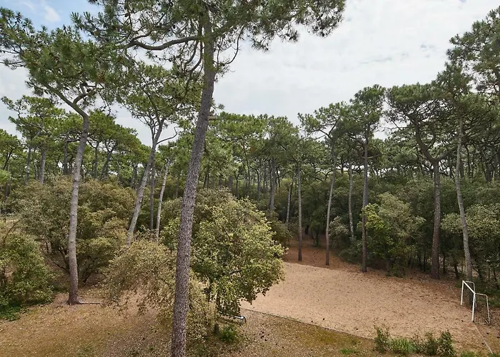 Club Bleues Les Jardins De L'atlantique 3* Talmont-Saint-Hilaire